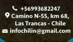 Chil-in-Hotel-Hostal-Restaurante-Valle-las-trancas-dia-140